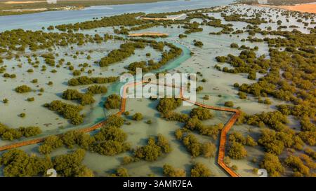 Vue aérienne au-dessus du parc Jubail Mangrove à Abu Dhabi, Émirats arabes Unis Banque D'Images