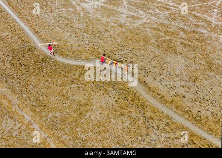 Chittagong, Bangladesh - 06 mars 2020 : vue aérienne de trois jeunes marchant dans un étroit chemin de campagne le long de la baie de Bengali, Chittagong, Banglades Banque D'Images