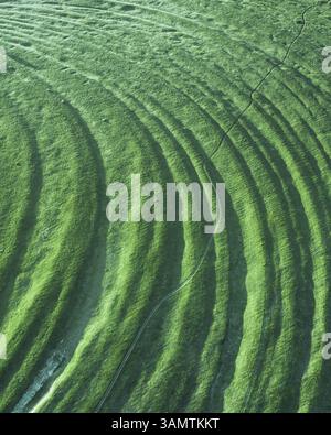 Vue aérienne d'une partie de la plaine inondable segmentée de la rivière Oka dans la région de Ryazan, Russie Banque D'Images
