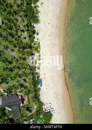 Vue aérienne de la plage tropicale avec eau bleue, palmiers, et rive de sable, Arraial D'Ajuda, Bahia, Brésil. Banque D'Images