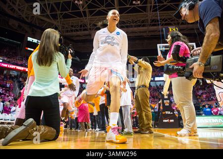 16 février 2014 - Knoxville, TN, États-Unis - 16 février 2014 :Cierra Burdick #11 des Tennessee Lady Volunteers s'impose sur le terrain avant le match de basket-ball de la NCAA entre l'Université du Tennessee Lady vols et les Kentucky Wildcats à Thompson-Boling Arena à Knoxville, TN(crédit image : © photographe :Tim Gangloff/Cal Sport Media/ZUMAPRESS.com) Banque D'Images