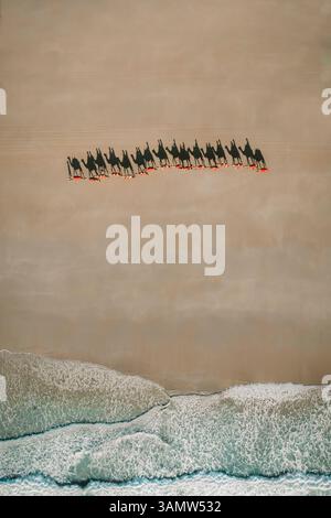 Vue aérienne de chameaux marchant sur une plage avec des gens sur le dos qui jettent des ombres dans le sable et des vagues qui s'écrasent sur la plage, Broome Banque D'Images