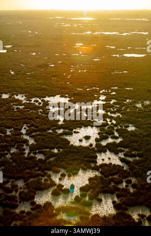 Vue aérienne des Everglades naturels, comté de Palm Beach, Floride, États-Unis. Banque D'Images