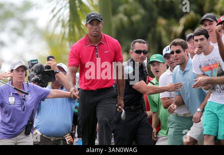 9 mars 2014 - Doral, FL, États-Unis - Tiger Woods lance un tir du 7e green lors de la dernière manche du Championnat WGC-Cadillac au Trump National Doral le dimanche 9 mars 2014, à Doral, Floride (crédit image : © Patrick Farrell/MCT/ZUMAPRESS.com) Banque D'Images