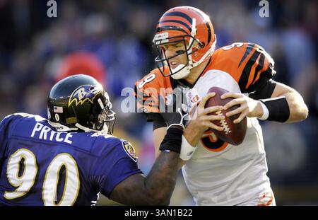 5 novembre 2006 - É.-U. - le défenseur des Ravens de Baltmore Trevor Pryce (90) attrape le quarterback des Bengals Carson Palmer (9) alors qu'il le met à sac pour une défaite de neuf yards au troisième quart-temps. Les Ravens battent les Bengals, 26-20, au M&T Bank Stadium de Baltimore, Maryland, le dimanche 5 novembre 2006. (Christopher T. Assaf/Baltimore Sun/MCT) (image crédit : © Christopher T. Assaf/mct/ZUMAPRESS.com) Banque D'Images