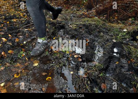 21 octobre 2007 - L'un des Septembers les plus humides de l'histoire du centre-sud de l'Alaska, combiné à des chasseurs d'orignaux à cheval, a quitté le sentier Indian Pass près d'Anchorage, en Alaska, dans un désordre. (Bill Roth/Anchorage Daily News/MCT) (crédit image : © Bill Roth/MCT/ZUMAPRESS.com) Banque D'Images