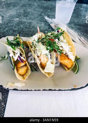 Tacos au poisson croustillant garni de salade acidulée et de microgreens, servis avec un coin de citron vert pour une bouchée parfaite. Banque D'Images