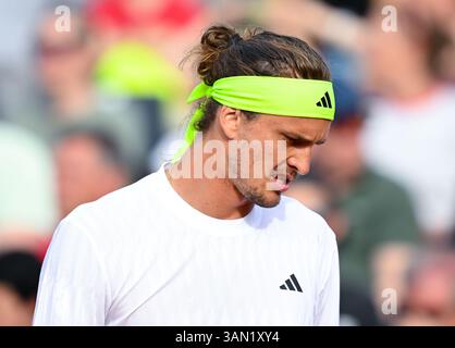 Munich, Allemagne. 14 avril 2025. Munich, Allemagne. 14 avril 2025. Tennis, ATP Tour - Munich, Singles, hommes, 1er tour. Zverev (Allemagne) − Müller (France). Alexander Zverev réagit. Crédit : Sven Hoppe/dpa/Alamy Live News crédit : dpa Picture alliance/Alamy Live News Banque D'Images