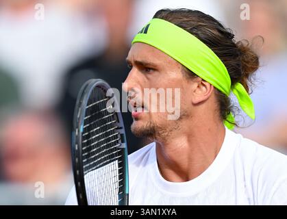 Munich, Allemagne. 14 avril 2025. Munich, Allemagne. 14 avril 2025. Tennis, ATP Tour - Munich, Singles, hommes, 1er tour. Zverev (Allemagne) − Müller (France). Alexander Zverev. Crédit : Sven Hoppe/dpa/Alamy Live News crédit : dpa Picture alliance/Alamy Live News Banque D'Images