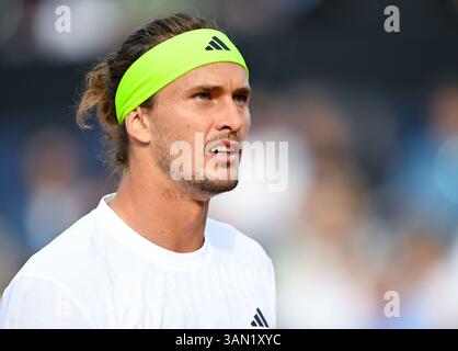 Munich, Allemagne. 14 avril 2025. Munich, Allemagne. 14 avril 2025. Tennis, ATP Tour - Munich, Singles, hommes, 1er tour. Zverev (Allemagne) − Müller (France). Alexander Zverev réagit. Crédit : Sven Hoppe/dpa/Alamy Live News crédit : dpa Picture alliance/Alamy Live News Banque D'Images