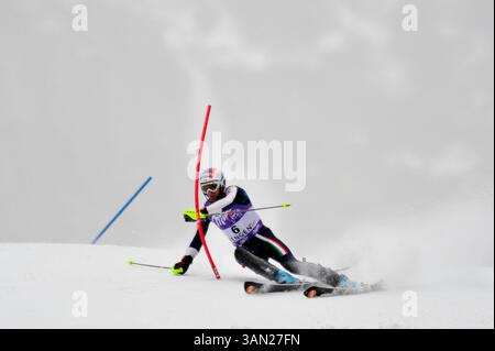 18 janvier 2009 : Manfred Moelgg (ITA) lors du Slalom masculin à la 79e course internationale du Lauberhorn à Wengen, Suisse. Crédit : John C Middlebrook, CSM. (Crédit image : © PHOTOGRAPHER/Cal Sport Media) Banque D'Images