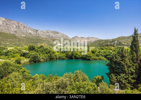 Modro Oko, petit lac près du delta de la rivière Neretva, Croatie, Europe. vue panoramique d'un lac turquoise reflétant le ciel bleu clair, encadré par une végétation luxuriante Banque D'Images