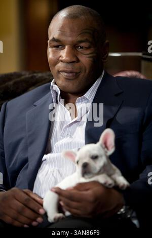 67e Golden Globes annuel de la HFPA - 2010 - meilleur film - comédie ou comédie musicale. DATE DE SORTIE : 5 juin 2009. TITRE DU FILM : TThe Hangover. STUDIO : Legendary Pictures PLOT : une comédie de Las Vegas centrée autour de trois mariés qui perdent leur ami sur le point d'être marié pendant leurs mésaventures ivres, puis doivent retracer leurs pas pour le retrouver. SUR LA PHOTO : MIKE TYSON Banque D'Images