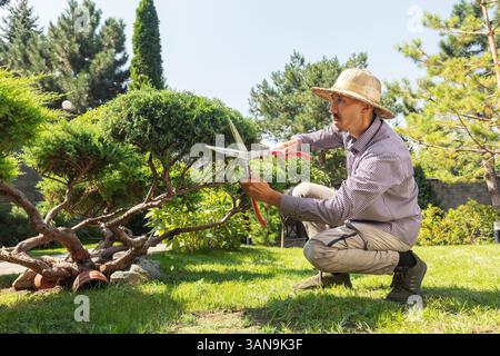 Un homme adulte moyen en chapeau large travaillant dans son arrière-cour. Jardinier masculin taillant des arbres. Banque D'Images