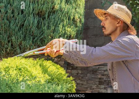 Un homme adulte moyen en chapeau large travaillant dans son arrière-cour. Jardinier masculin taillant des arbres. Banque D'Images