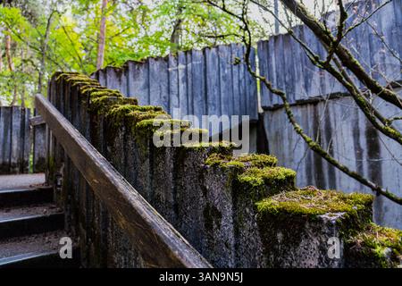 Seattle WA USA - 7 avril 2025 : Moss sur les escaliers au printemps Banque D'Images