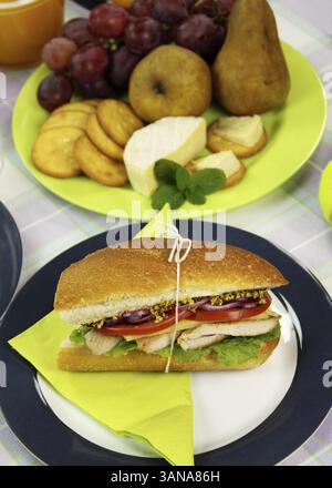 Poulet fraîchement préparé et rouleau de salade avec des fruits en arrière-plan Banque D'Images