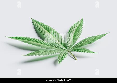 La feuille d'une plante de marijuana est montrée en gros plan. La feuille est verte et a une forme distincte. rendu 3d. Banque D'Images