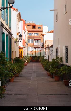 Charmante ruelle étroite dans une ville méditerranéenne avec des bâtiments colorés Banque D'Images