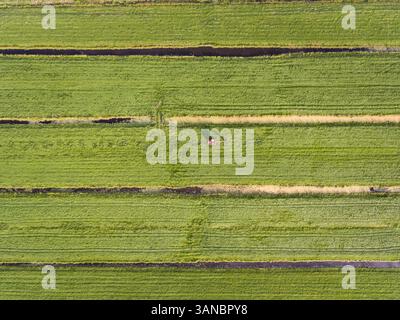 Antenne. Vue d'un tracteur travaillant dans les champs aux pays-Bas. Banque D'Images