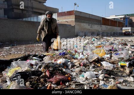 06 janvier 2010 - KABOUL, Texas, AFGHANISTAN - POUR LE MÉTRO - Abdul Rahman rassemble de la nourriture pour ses vaches dans les ordures dans les rues du quartier Shir Por de Kaboul, Afghanistan Dec. 31, 2009. PHOTO EDWARD A. ORNELAS/eaornelas@express-news.net) (crédit image : © San Antonio Express-News/ZUMApress.com) Banque D'Images