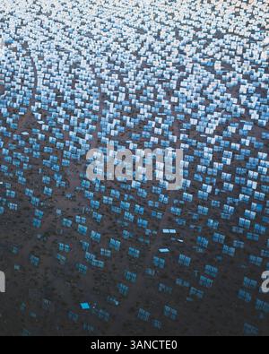 Vue aérienne d'une centrale solaire thermique concentrée au lever du soleil, désert de Mojave, Californie, près de Las Vegas, États-Unis. Banque D'Images