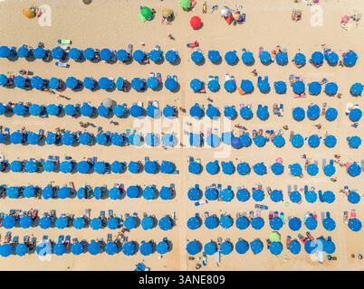 Vue aérienne de la plage bondée avec des parasols bleus sur Lefkada, Grèce. Banque D'Images