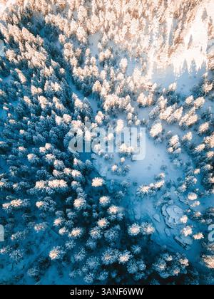 Vue aérienne des forêts de neige près de Denver, Colorado, États-Unis. Banque D'Images