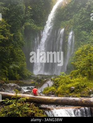 Vue aérienne de la cascade de tiu kelep cascadant à travers la jungle luxuriante dans un environnement vierge, Senaru, Indonésie. Banque D'Images