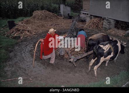 04 juil. 1998 - Cuenca, Azuay, Équateur - les agriculteurs travaillent sur le sirop de canne maison. Les caractéristiques dominantes de la géographie de la ville sont également à l'origine de son nom : les quatre rivières de Cuenca, Tomebamba, Yanuncay, Tarqui et Machangara. Ces quatre rivières font partie du bassin versant de l'Amazone. Cuenca (qui signifie un bassin causé par un confluent de rivières) est entouré de montagnes de tous les côtés, avec des cols à l'ouest, au sud et à l'est. (Crédit image : © Ricardo J. Ferro/ZUMA Press) Banque D'Images