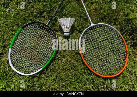 Raquettes de badminton et Shuttlecock sur herbe. Deux raquettes de badminton et un volant couché sur l'herbe verte, prêt pour un jeu de plein air décontracté au soleil. Banque D'Images