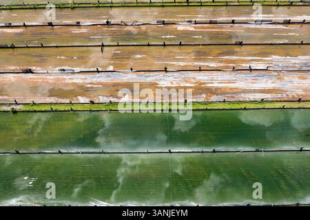Vue aérienne d'étangs d'évaporation de sel colorés avec des motifs géométriques et des reflets, Fellsmere, États-Unis. Banque D'Images