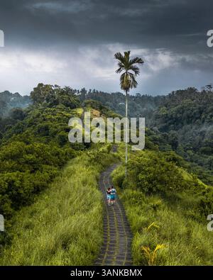 Vue aérienne de la forêt tropicale luxuriante avec un chemin sinueux et les gens de randonnée, Bali, Indonésie. Banque D'Images