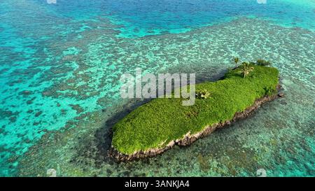 Vue aérienne de l'île tropicale avec eau turquoise et récif corallien, est, Fidji. Banque D'Images