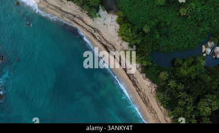 Vue aérienne de la plage isolée et de la jungle luxuriante le long de la côte tranquille, Santa Marta, Colombie. Banque D'Images