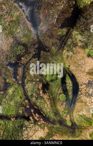 Vue aérienne des zones humides sereines et des plaines inondables le long de la rivière Libawka avec une végétation luxuriante, Turawa, Pologne. Banque D'Images