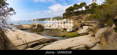 Vue panoramique sur les roches lisses uniques et les piscines d'eau claire à Punta Rocas planes, Costa Brava, avec des pins et le littoral au loin. Banque D'Images