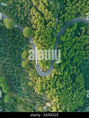 Vue aérienne de la route amalfitaine route serpentine traversant la forêt le long de la côte amalfitaine près de Positano, Salerne, Campanie, Italie. Banque D'Images