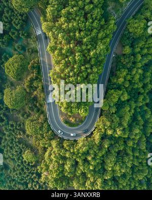 Vue aérienne de la route amalfitaine route serpentine traversant la forêt le long de la côte amalfitaine près de Positano, Salerne, Campanie, Italie. Banque D'Images