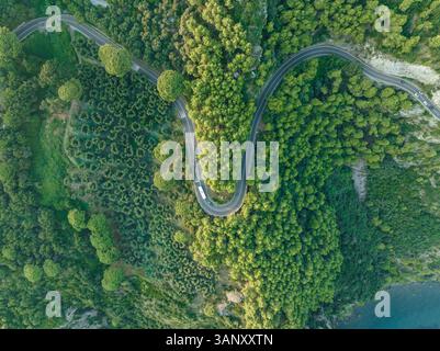 Vue aérienne de la route amalfitaine route serpentine traversant la forêt le long de la côte amalfitaine près de Positano, Salerne, Campanie, Italie. Banque D'Images