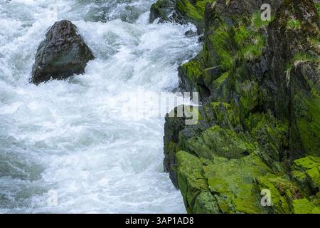 L'eau se déplaçant rapidement en cascade sur des roches déchiquetées et de la mousse verte Banque D'Images