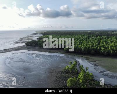 Vue aérienne de la plage sereine et intacte de Guliyakhali avec mangrove luxuriante et verdure, Chittagong, Bangladesh. Banque D'Images