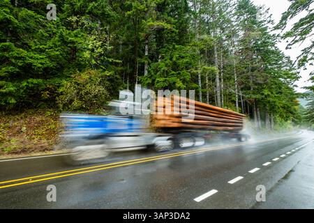 Camion bleu avec des bûches vitesses sur autoroute humide dans un paysage forestier luxuriant Banque D'Images