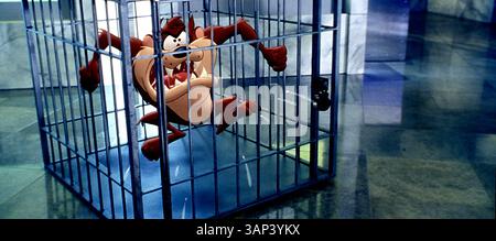 JAN. 1, 2011 - K36454ES.''LOONEY TUNES : RETOUR EN ACTION''. Diable Tazmanian. FOURNI PAR : ILOVETHE90'S(crédit image : © Globe photos/ZUMAPRESS.com) Banque D'Images