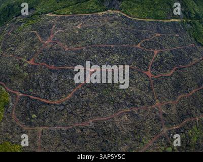 Vue aérienne d'anciens vignobles volcaniques dans un paysage pittoresque, île de Pico, Açores, Portugal. Banque D'Images