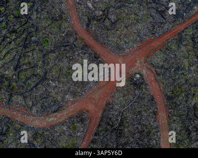Vue aérienne d'anciens vignobles volcaniques dans un beau paysage volcanique, île de Pico, Açores, Portugal. Banque D'Images