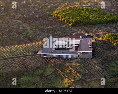 Vue aérienne d'anciens vignobles volcaniques dans un beau paysage volcanique, île de Pico, Açores, Portugal. Banque D'Images