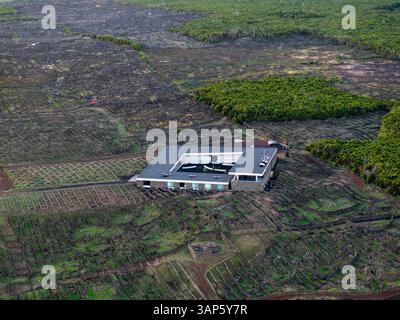 Vue aérienne d'anciens vignobles volcaniques dans un paysage luxuriant, île de Pico, Açores, Portugal. Banque D'Images