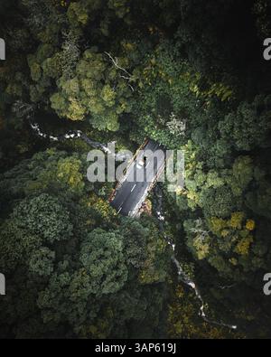 Vue aérienne d'un pick-up conduisant une belle route parmi la végétation forestière profonde traversant un petit ruisseau sur l'île de Pico, archipel des Açores Banque D'Images