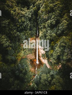 Vue aérienne de la cascade de Ribeira Quente dans la forêt sur l'île de Sao Miguel, archipel des Açores, Portugal. Banque D'Images